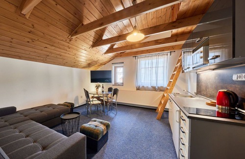 Cerny Dul Apartment | Cosy apartment for 7 guests with WIFI, TV and pets allowed