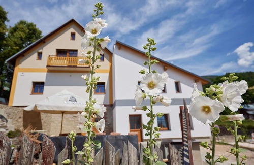 Cerny Dul Apartment | Cosy apartment for 7 guests with WIFI, TV and pets allowed