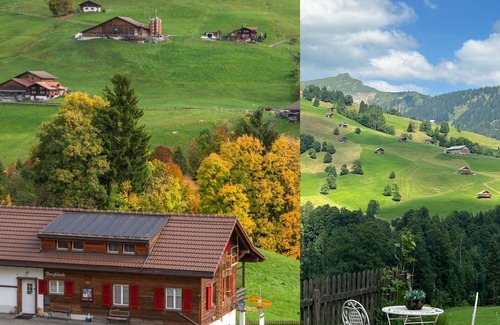 Ruedisbach Apartment | Cosy apartment for 8 people with hot tub, WIFI, TV, balcony and pets allowed