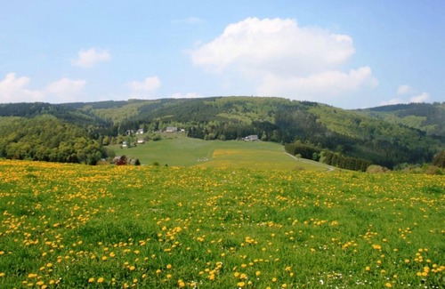 Schwalefeld Apartment | Cosy apartment in Schwalefeld near Willingen with private terrace