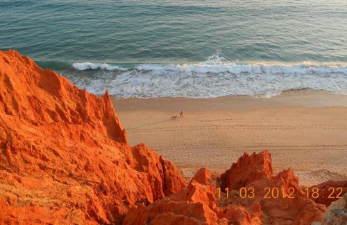 Alfa-Mar House | Cosy Apartment T1 on Falesia Beach Albufeira with swimming pool