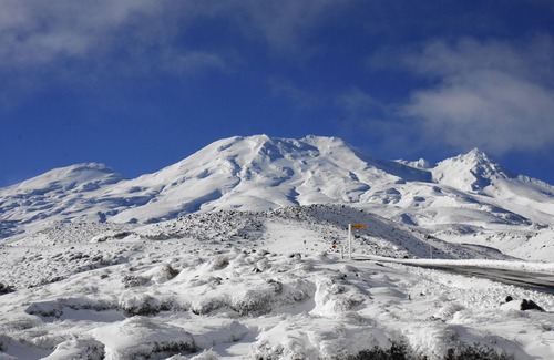 Ohakune Cabin | Cosy Cabins , Mountain Views and pet Friendly