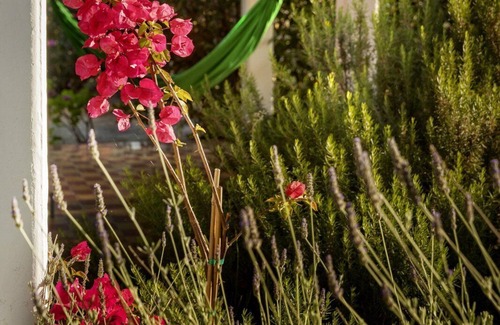 Vasilikos Cottage | Cosy cottage with large veranda and garden with hammock near the beach.