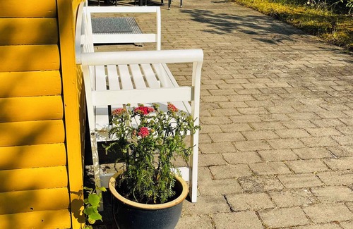 Boderne House | Cosy cottage in forest just 100 m from the beach