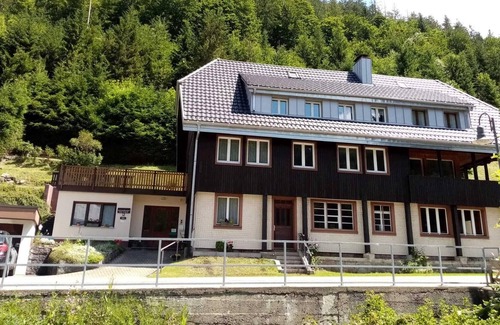 Menzenschwand-Hinterdorf Apartment | Cosy flat in St. Blasien in the Black Forest with balcony and private terrace