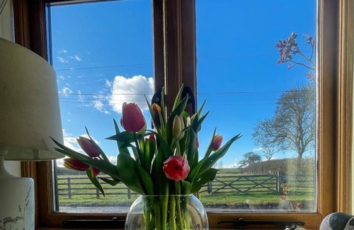 Cambridge Cottage | Cosy farm cottage in charming peaceful village