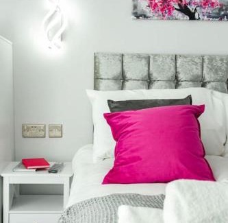 Crystal Palace Apartment | Cosy Flamingo Studio in Sydenham