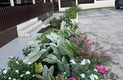 Labasa Apartment | Cosy Fully Furnished Unit Great Spot Labasa