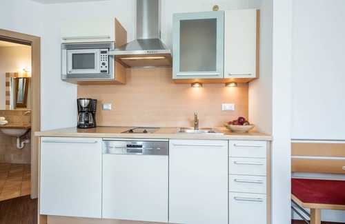 Salonetto Apartment | Cosy Holiday Apartment "Tischlerhof - Typ C" with Wi-Fi and Mountain View