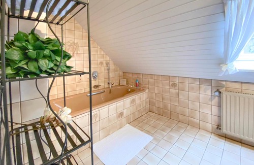 Weissenbrunn Apartment | Cosy holiday home in Upper Franconia