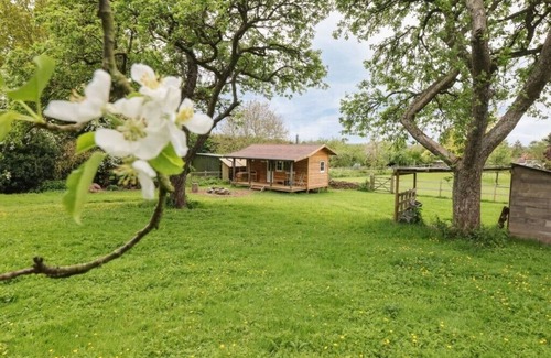 North Wheatley Cabin | Cosy Lodge completely on your own in an acre of land. and will take 2 dogs