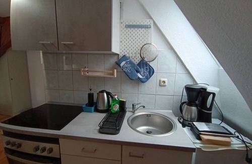 Biebrich Apartment | Cosy old Studio at Schlosspark