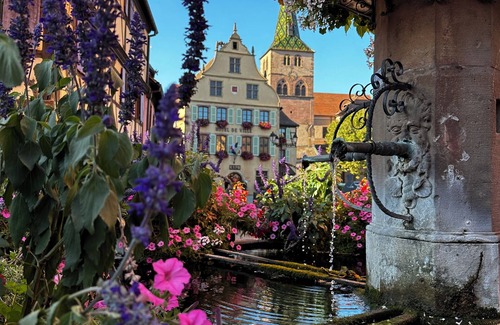 Turckheim House | Cosy, spacious village house in the heart of the historic center.