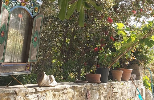 Stelida Apartment | Cosy studio, few minutes away from Chora, airport, prokopis beach, Laguna surf,