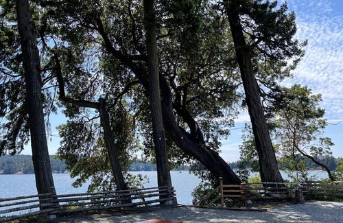 Sooke Cottage | Cottage 1& 2 with Waterfront and Beach Access