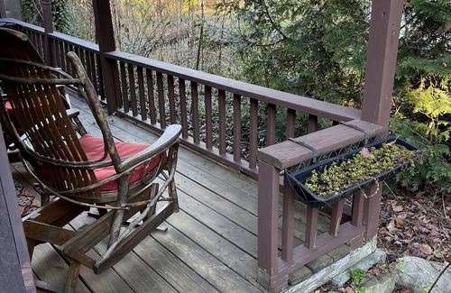 Brevard Cottage | Cottage 1 block from Main St. on historic property.