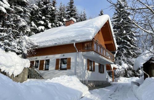 Ambroz pod Krvavcem Ski Chalet | Cottage House Jakob