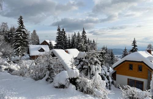 Ambroz pod Krvavcem Ski Chalet | Cottage House Jakob