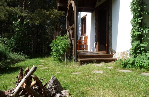 Krokowa House | Cottage in a Pine Forest - In quiet greenery