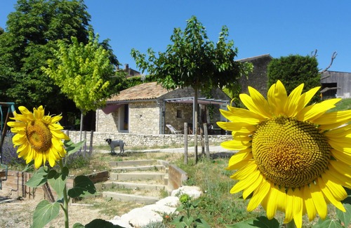 Reillanne Cottage | Cottage in the countryside in the heart of the Luberon