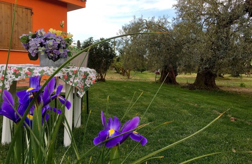 Monastir House | cottage in the countryside 15 minutes from Cagliari. Even for short weekends
