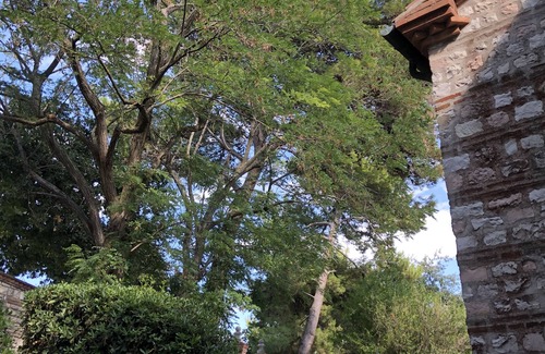 Numana Cottage | Cottage in the green, a stone's throw from the sea