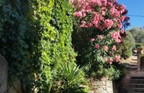 Lama Apartment | Cottage in the village of Lama - WIFI