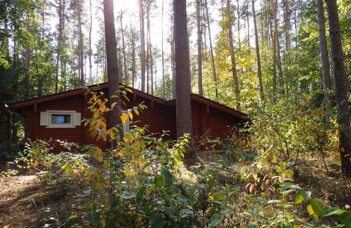 Hitzacker House | Cottage in the woods near Hitzacker/Elbe - walking and cycling from your doorstep