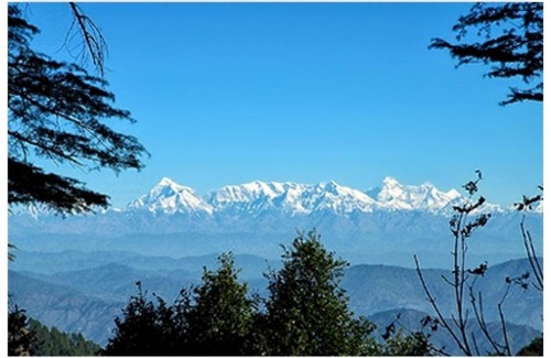 Pangot House | Cottage room in Pangot, Nainital, by GuestHouser 24005