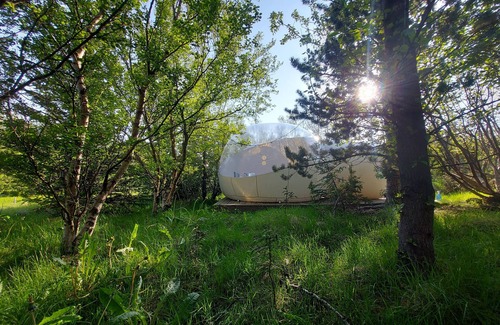 Rangarþing eystra Cabin | Cottage w/heated Aurora Igloo, Hot tub, & private covered patio.