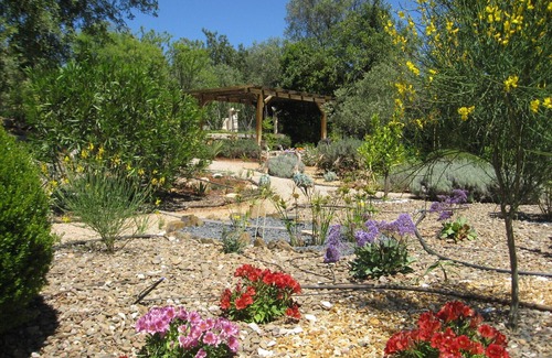Loule Cottage | Cottage With large Pool In Beautiful Countryside, fabulous gardens. Nr Loule.