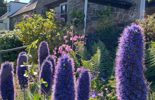 Llanrhian Cottage | Cottage With Sea Views Large Garden and Pet Friendly
