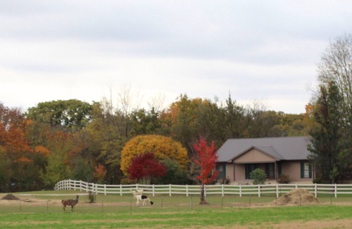 Bluffs House | COUNTRY HOME WITH LLAMAS JUST OUTSIDE THE WINDOWS!