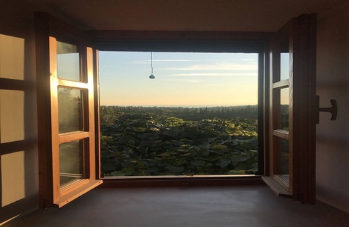 Cilipi House | Country House Bakicevo - Two Bedroom Apartment with Terrace
