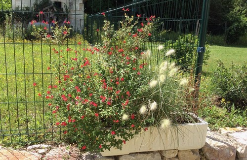 Douchapt House | Country house farmhouse in Perigord, comfortable, Rest assured