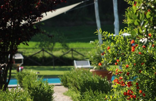 Montone Apartment | Country house with large pool & private restaurant in the green heart of Italy