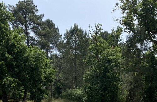 Lencouacq House | Country house with swimming pool in the heart of the forest of the Landes regional park