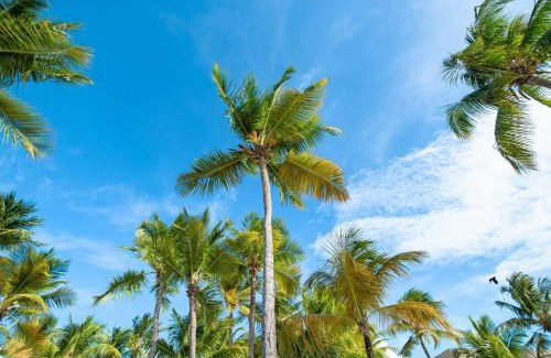 Isla Verde Resort | Courtyard by Marriott Isla Verde Beach Resort