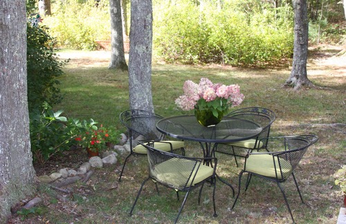 Plymouth Cabin | Cove Cottage On Beautiful Long Pond