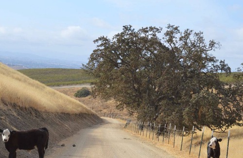 San Miguel House | Coyote Flats