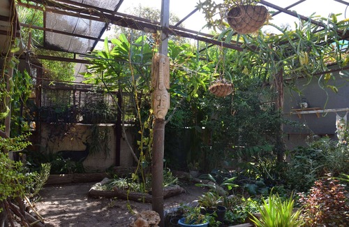 Beersheba Apartment | Cozy 1-bedroom apartment with a beautiful garden in Be'er Sheva with WiFi, AC