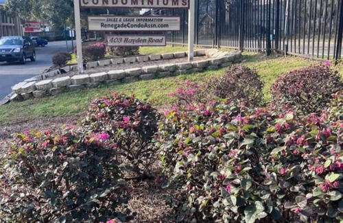 Tallahassee Condo | Cozy 1-bedroom condo across the street from FSU and Doak Campbell Stadium