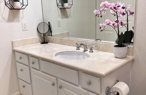 Montrose Apartment | Cozy 1BD apartment in downtown Houston