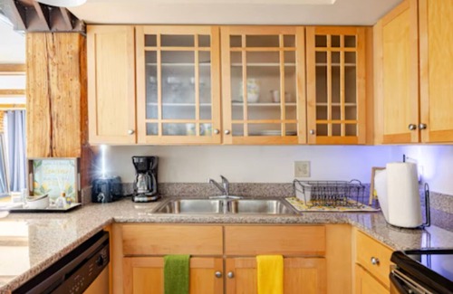 Church Hill Apartment | Cozy 1BR Apt in Downtown Richmond, Nearby Attractions within walking distance