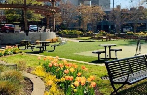 Charlotte Apartment | Cozy 2 bedroom apartment with AC, WIFI and Entertainment in adorable Charlotte