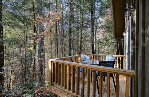 Ellijay Cabin | Cozy 2-bedroom HILLTOP COTTAGE in peaceful Ellijay with AC, WiFi
