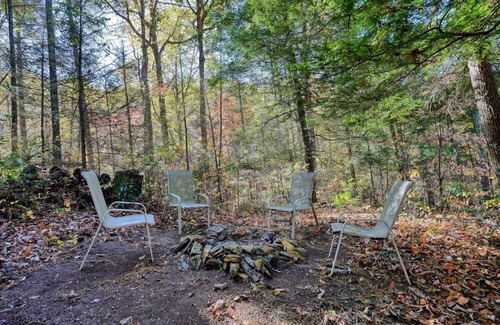 Ellijay Cabin | Cozy 2-bedroom HILLTOP COTTAGE in peaceful Ellijay with AC, WiFi
