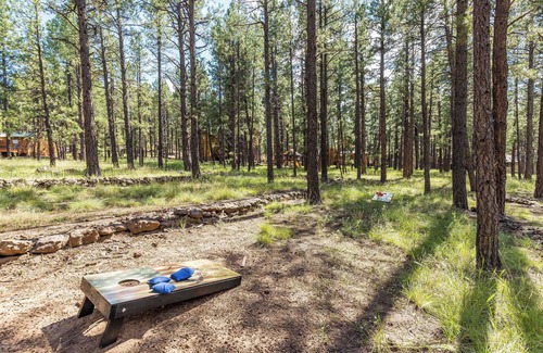 Williams Cabin | Cozy 3BDR Rogue Bear Cabin The Perfect Williams - Grand Canyon Getaway
