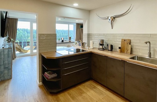 Hahnenklee Condo | Cozy 5 star apartment with a dream view. Hiking trails and bathing lake nearby.