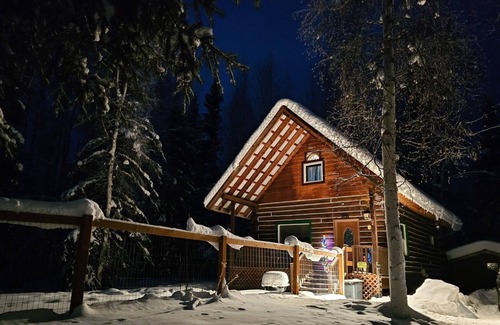 Fairbanks Cabin | Cozy Alaskan themed cabin suitable for families or couples! King size bed, w/d